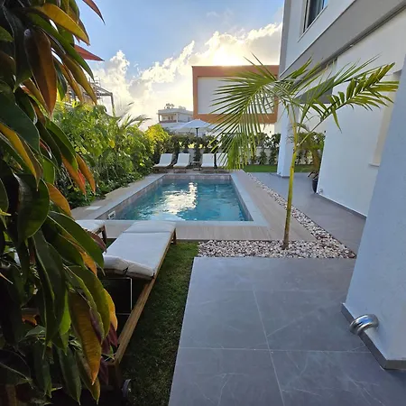 Tg New Luxury Private - Heated Salty Swimming Pool, Outdoor Jacuzzi, Sauna, Exotic Garden Willa *